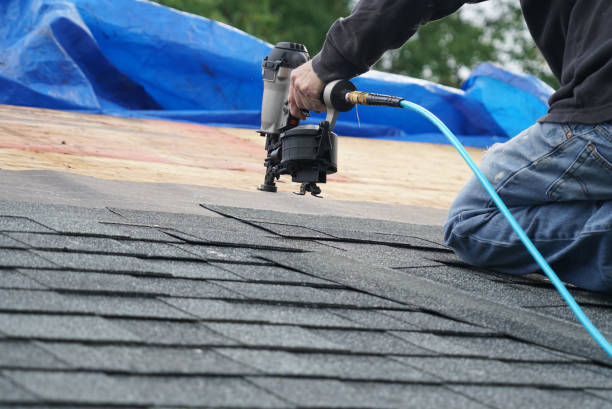 Best Roof Gutter Cleaning  in Greenfields, PA